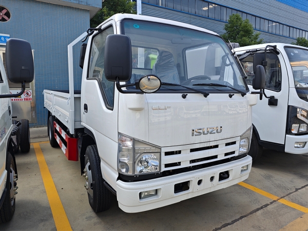 ISUZU ELF 4x2 6 Wheels 4-Tons Dump Truck