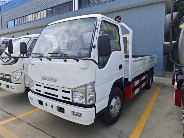 ISUZU ELF 4x2 6 Wheels 4-Tons Dump Truck