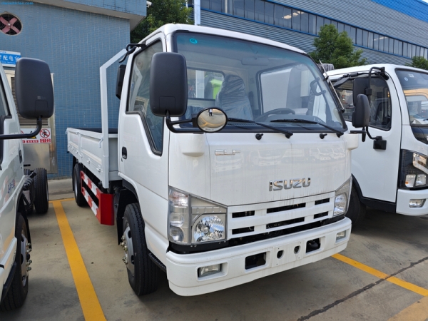 ISUZU ELF 4x2 6 Wheels 4-Tons Dump Truck