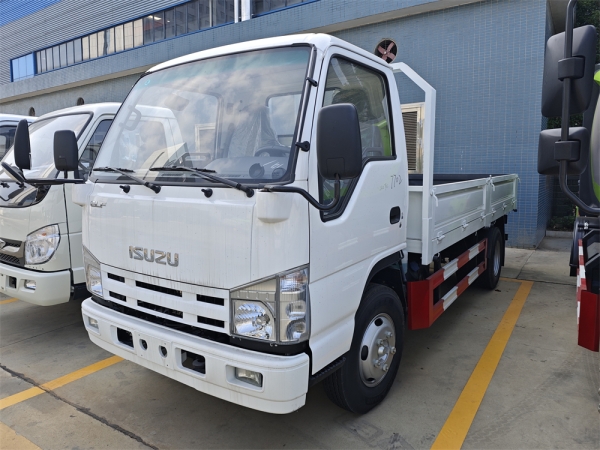 ISUZU ELF 4x2 6 Wheels 4-Tons Dump Truck